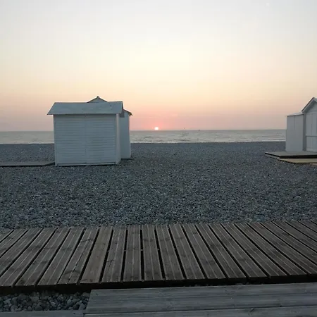 Appartement La Perle Marine Cosy Avec Superbe Vue Mer&terrasse 30m2 *